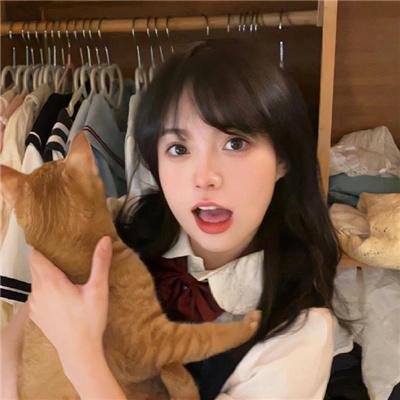 办公室之主